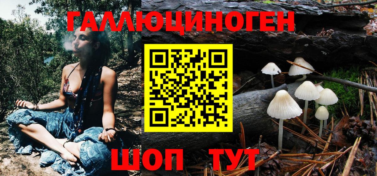 Галлюциногенные грибы Magic Shrooms  Галлюциногенные грибы Psilocybine cubensis  что такое   Вход с VPN  Ноябрьск 