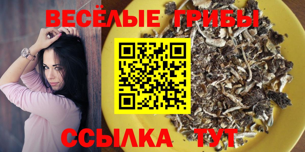 Бошки Шишки Ноябрьск
