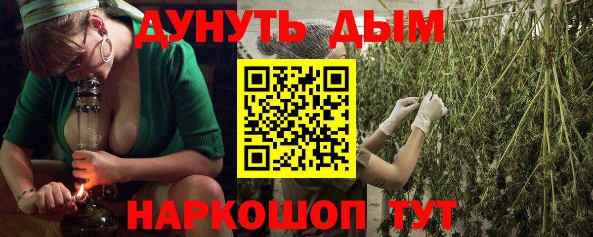Шишки марихуана Bruce Banner Ноябрьск